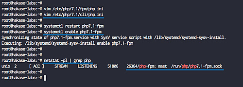 Comprueba el socket PHP-FPM