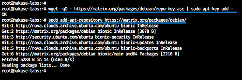 Instalar Matrix Synapse
