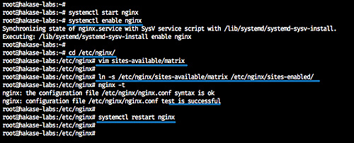 Configurar Nginx