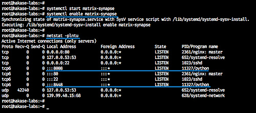 Comprueba los puertos abiertos