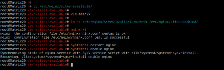 Configurar Nginx como proxy inverso para Matrix Synapse