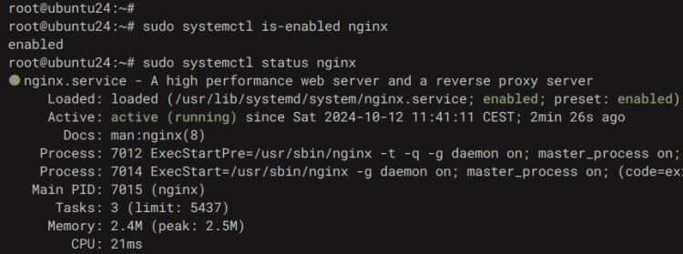 comprobar nginx