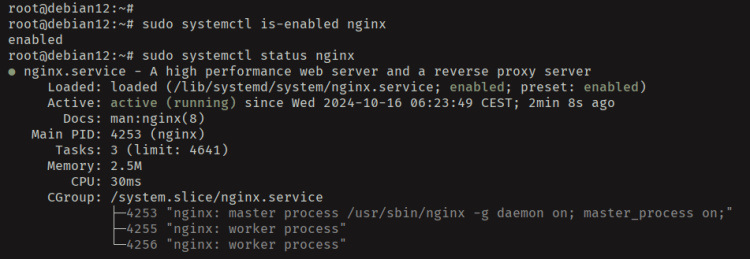 comprobar el estado de nginx