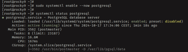 start enable verificar postgresql