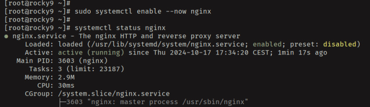 start enable verifynginx