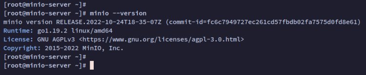 comprueba la versión de minio