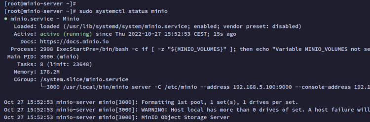 comprobar servicio minio