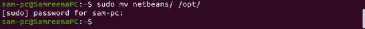 Mueve el directorio de netbeans a la ubicación /opt/