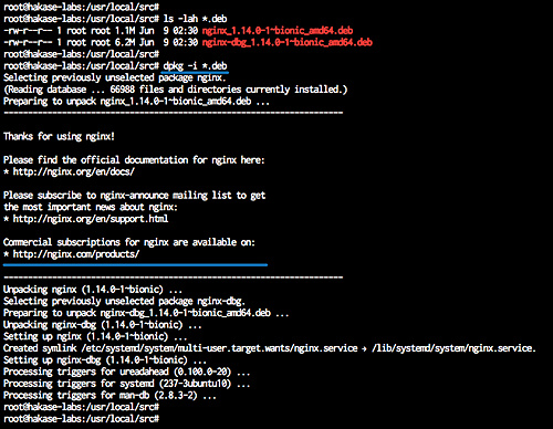 Instalar Nginx y activar la compatibilidad con Brotli