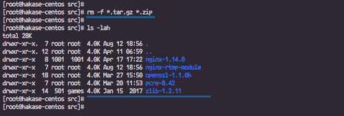 Fuentes de Nginx descargadas