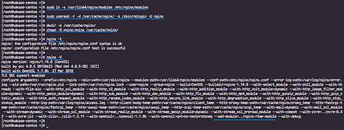 Nginx compilado con éxito