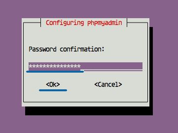 repite la contraseña