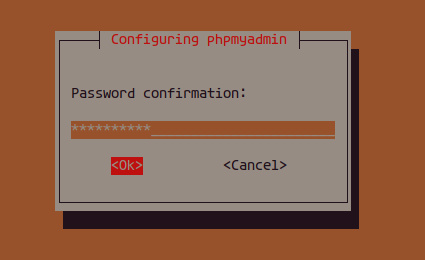 Configurar el servidor web para phpMyAdmin