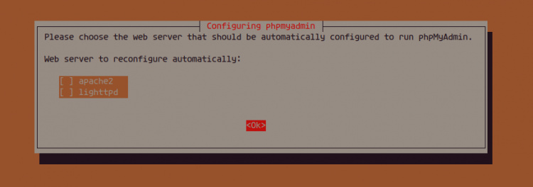 Configurar el servidor web para phpMyAdmin