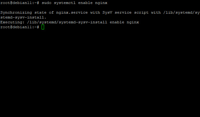 activar nginx