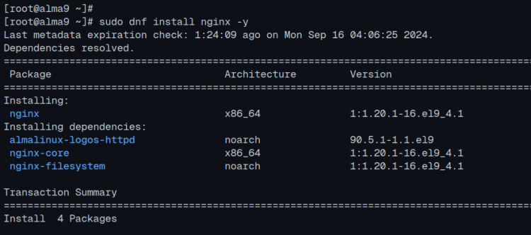 instalar nginx