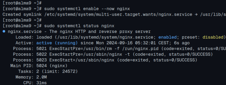 comprobar nginx