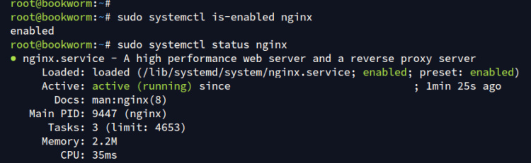 comprobar nginx