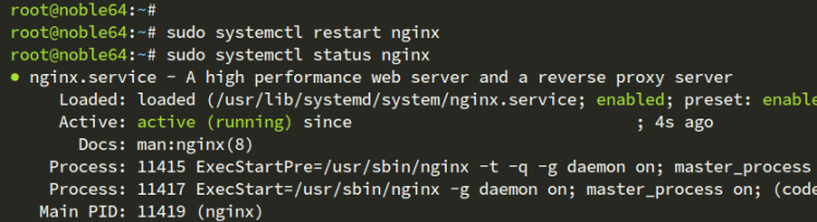 comprobar nginx