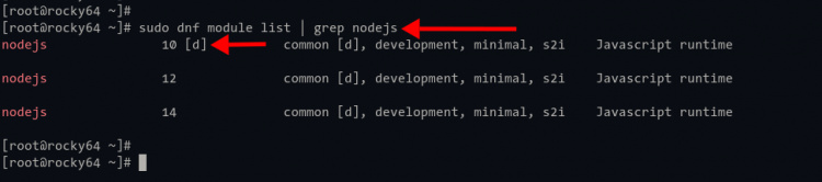 Comprobar el módulo de repositorio de Node.js Rocky Linux
