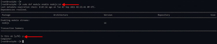Activar el módulo de repositorio Node.js 14
