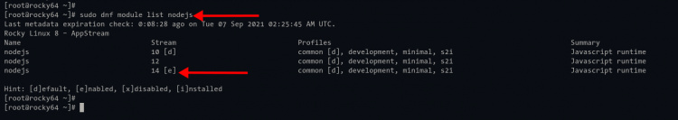 Verificar el módulo de repositorio de Node.js
