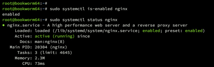 comprobar nginx