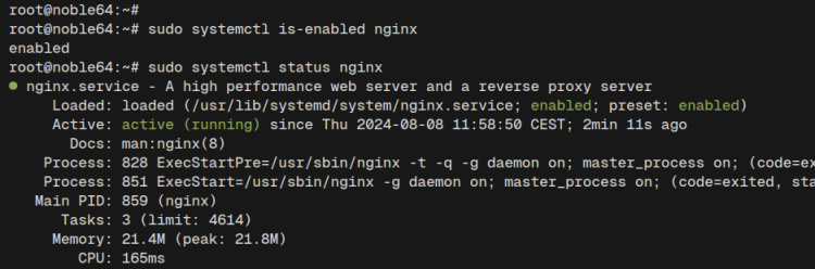 comprobar nginx