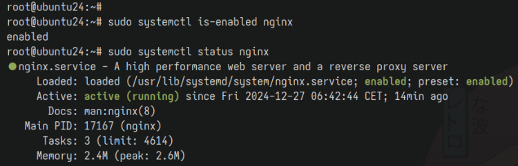 comprobar nginx