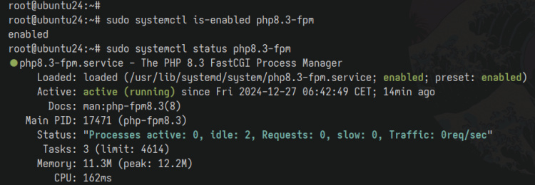 comprobar php-fpm