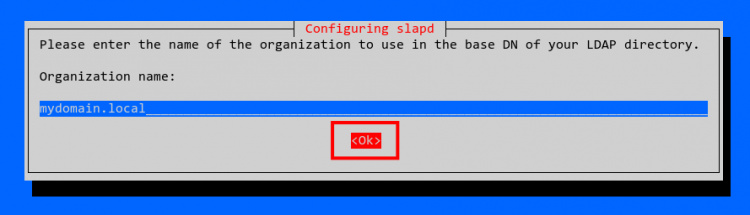 Configurar el nombre de la organización OpenLDAP