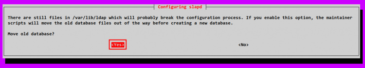 mover la antigua base de datos