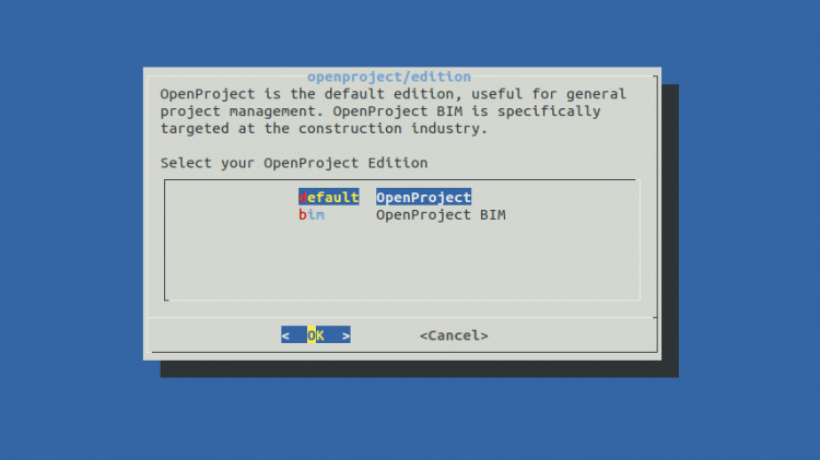 Edición OpenProject