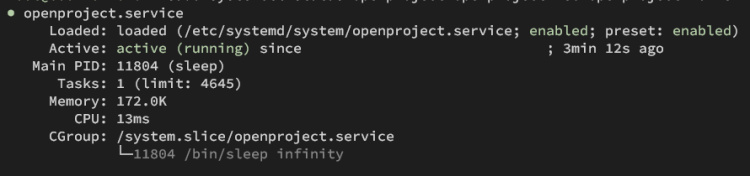 estado del proyecto abierto