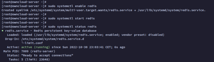 comprobar redis