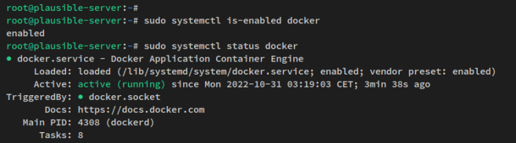 comprobar docker