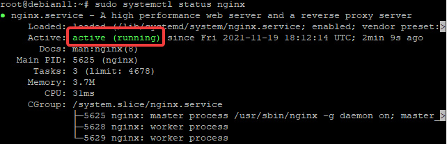Configurar el proxy inverso NGINX para Plex