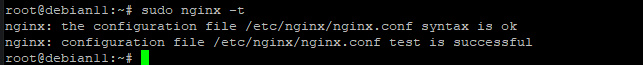 Configurar el proxy inverso NGINX para Plex