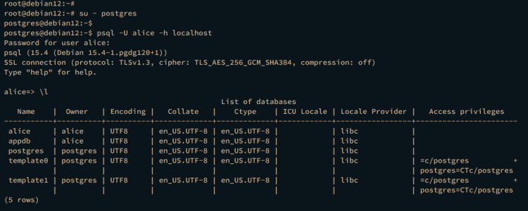 comprobación base de datos psql