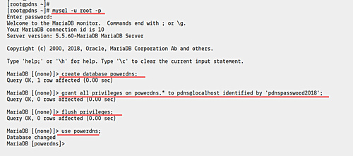 Instalar la base de datos PowerDNS