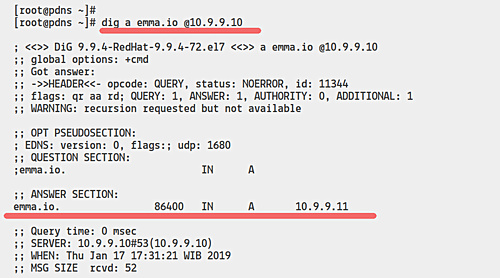 resultado del comando dig