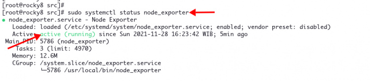 Configurar el Exportador de Nodos como un servicio systemd