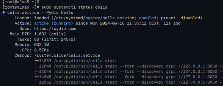 servicio systemd