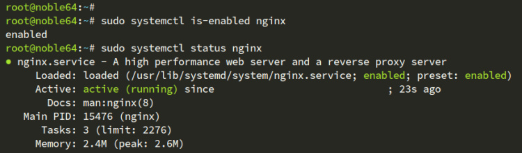 comprobar nginx