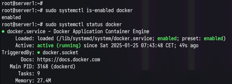 cheque docker