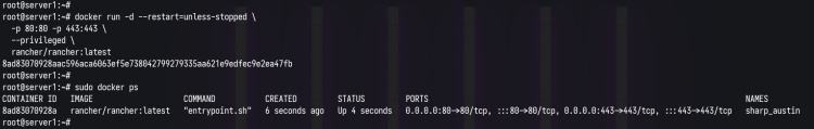 Docker ps check rancher