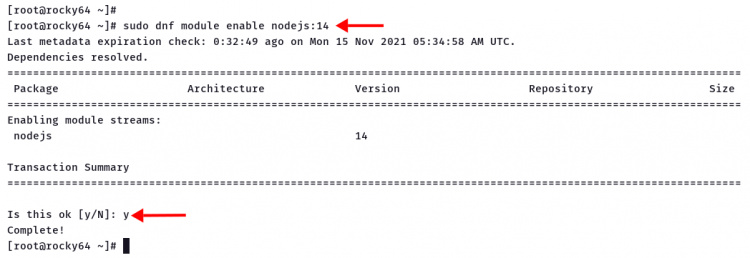 Activar el módulo nodejs
