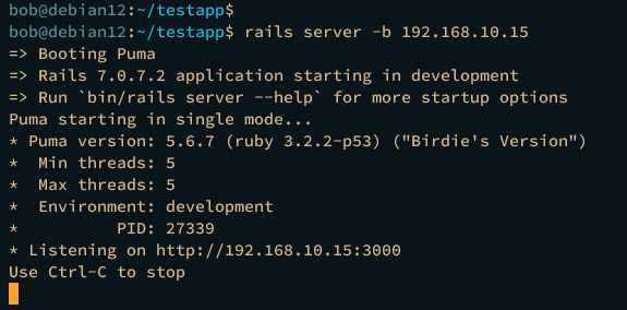 ejecuta el proyecto raikls