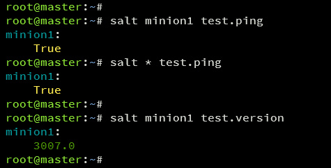 prueba salt ping y versión