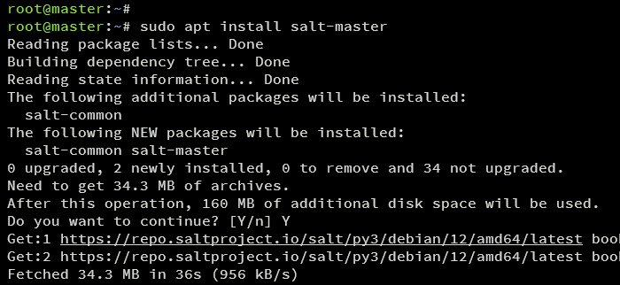 instalar maestro sal